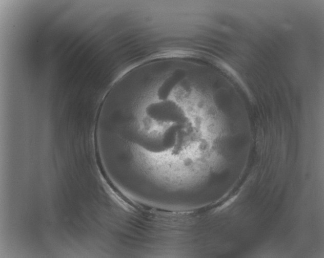 X0000069811417200605261737