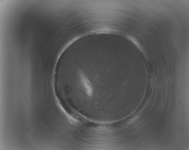 X0000069811418200605261737