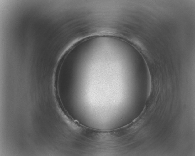 X0000069811422200605261737