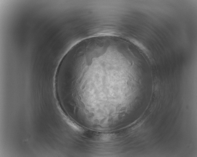 X0000069811423200605261737