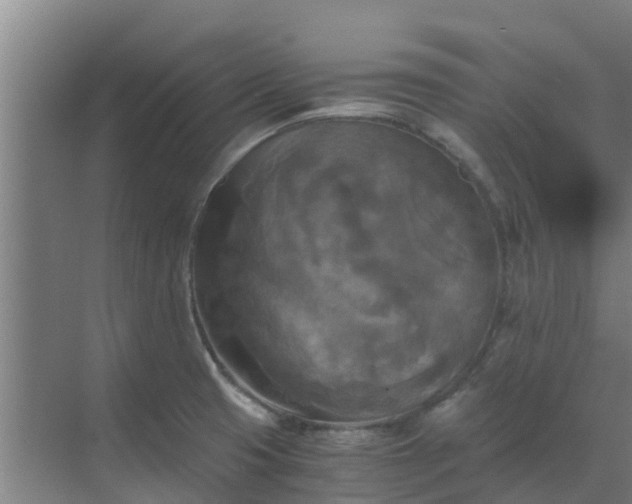 X0000069811425200605261737