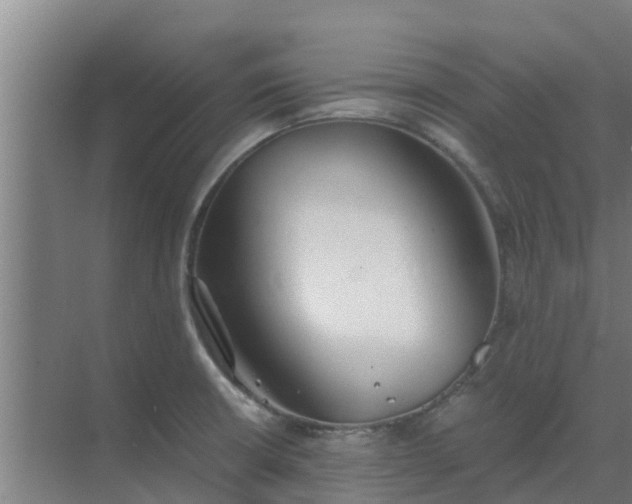 X0000069811426200605261737