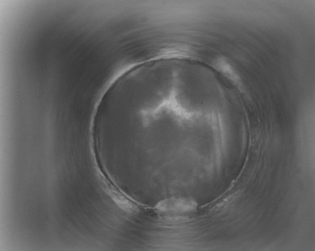 X0000069811427200605261737