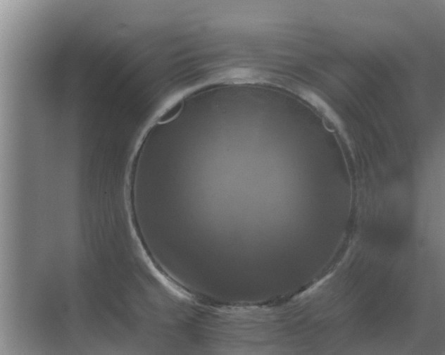 X0000069811429200605261737