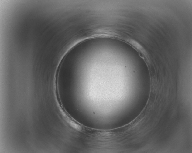 X0000069811431200605261737