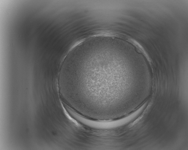 X0000069811433200605261737