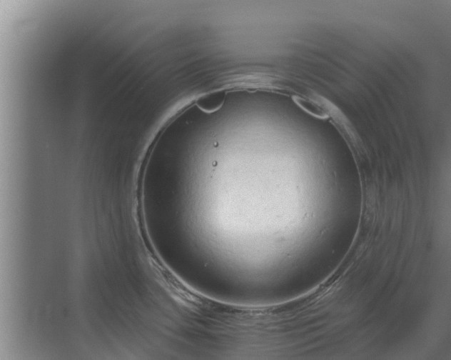 X0000069811435200605261737