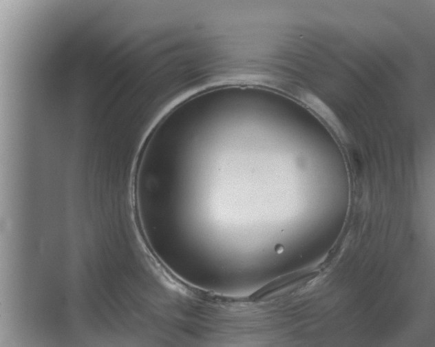 X0000069811436200605261737