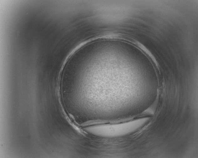 X0000069811437200605261737