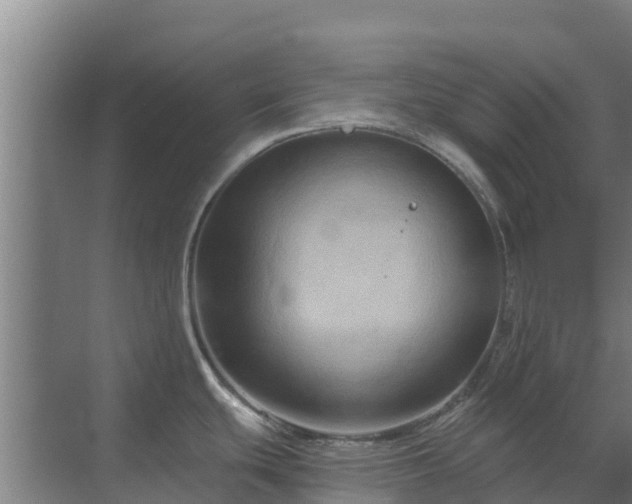 X0000069811439200605261737