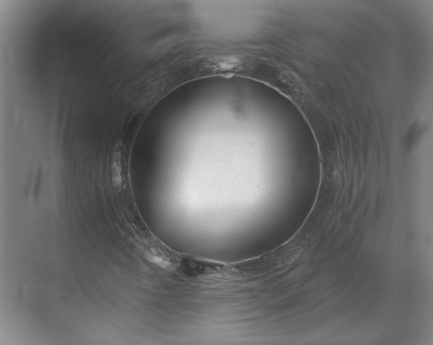 X0000069811442200605261736