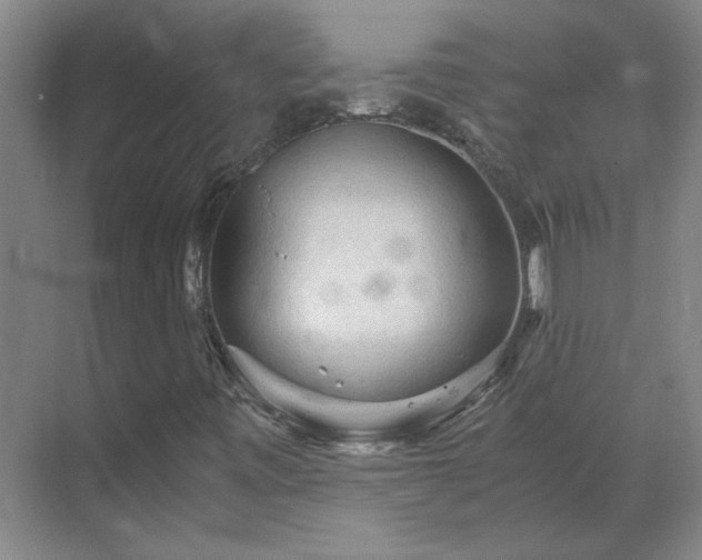 X0000069811443200605261736