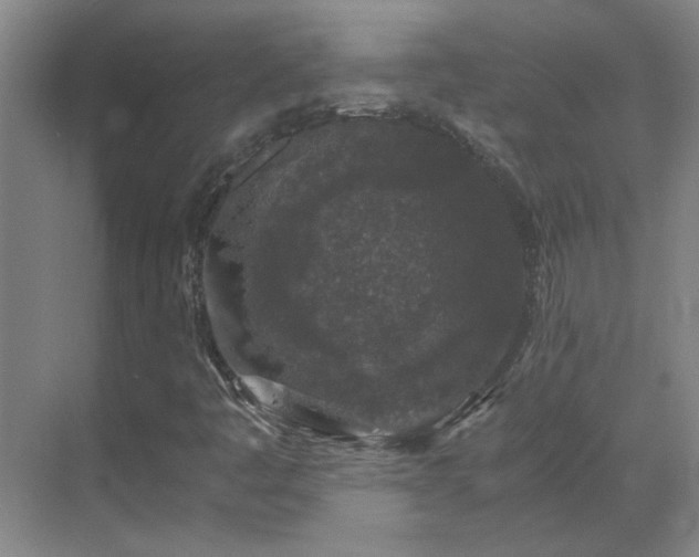 X0000069811445200605261736