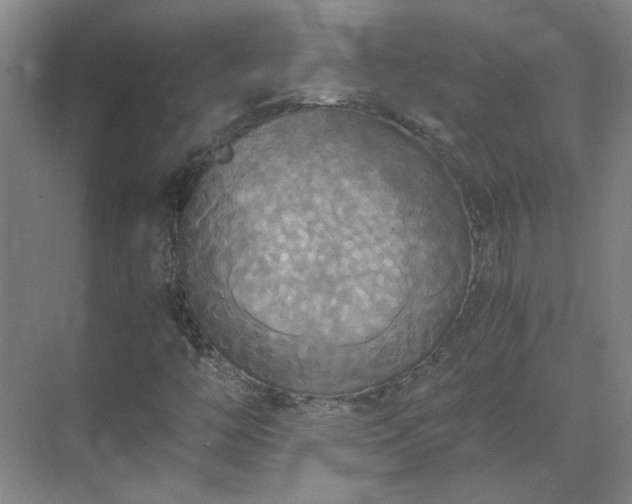 X0000069811446200605261736