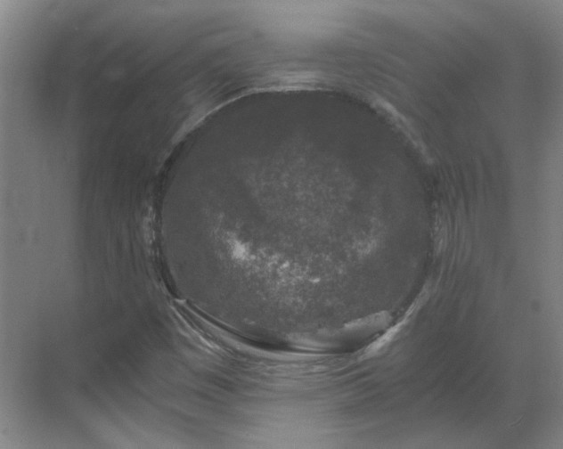 X0000069811449200605261736