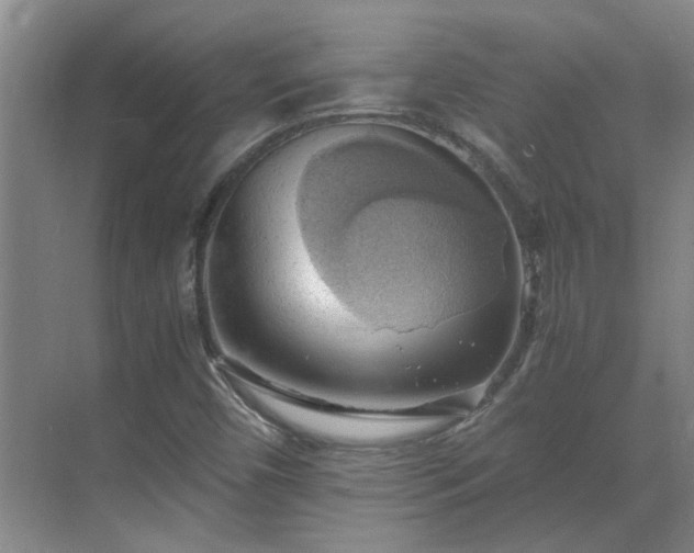 X0000069811450200605261736