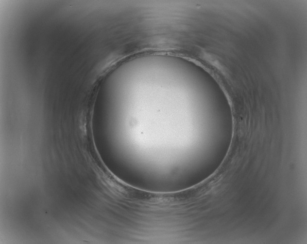 X0000069811451200605261736