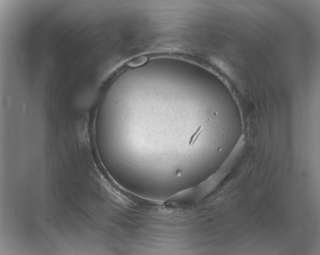 X0000069811452200605261736