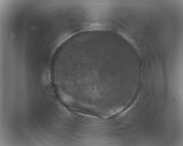 X0000069811453200605261736