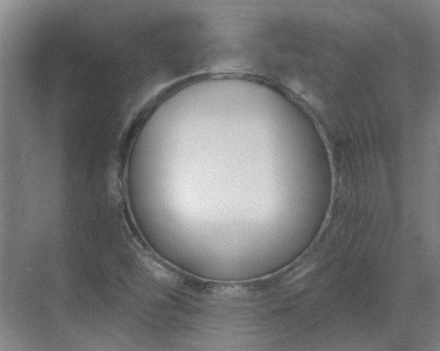 X0000069811454200605261736