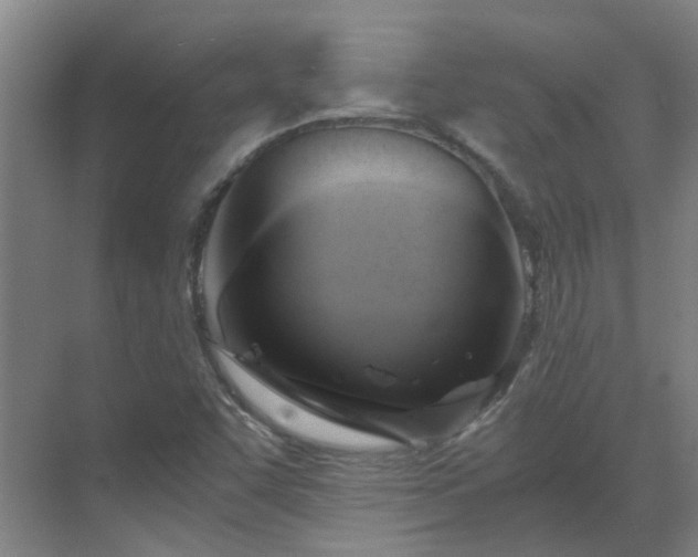 X0000069811455200605261736