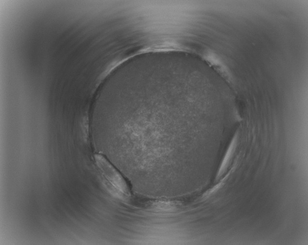 X0000069811457200605261736