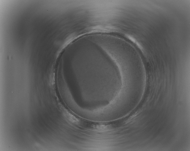 X0000069811459200605261736