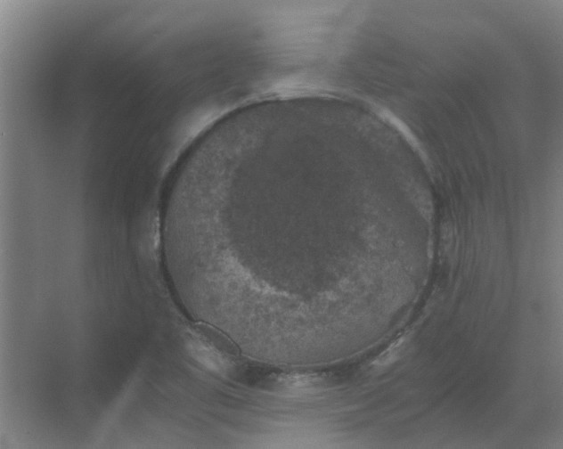 X0000069811461200605261736