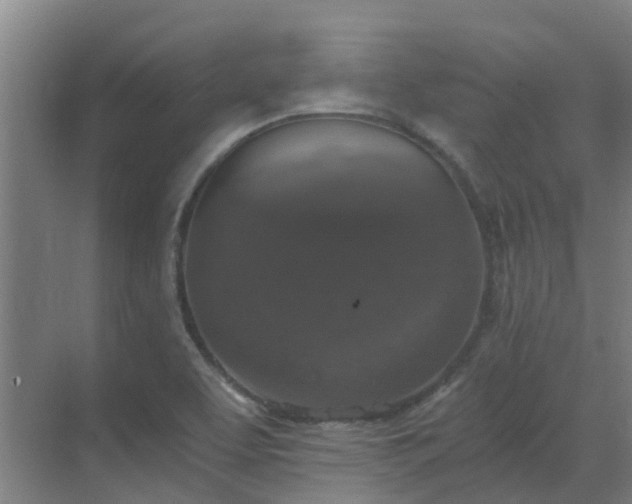 X0000069811463200605261736