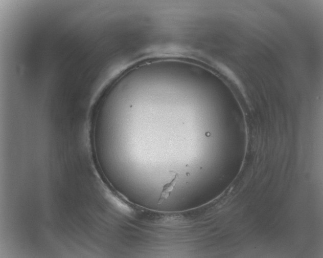 X0000069811464200605261736