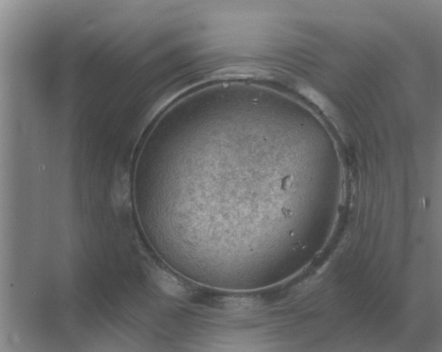 X0000069811465200605261736