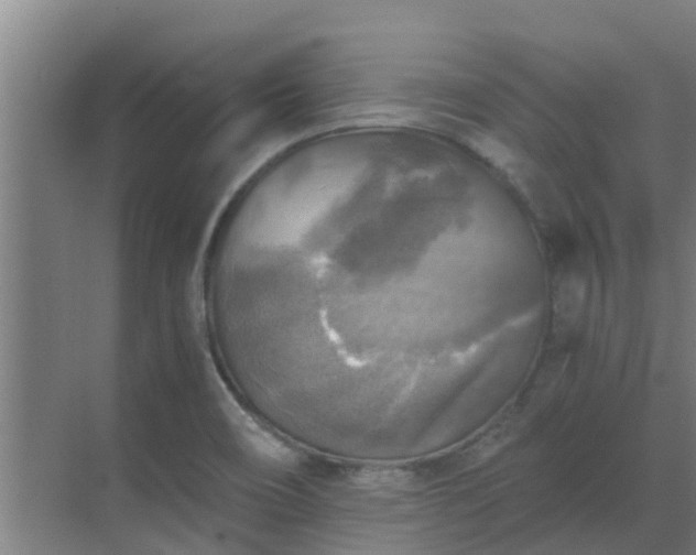 X0000069811466200605261736