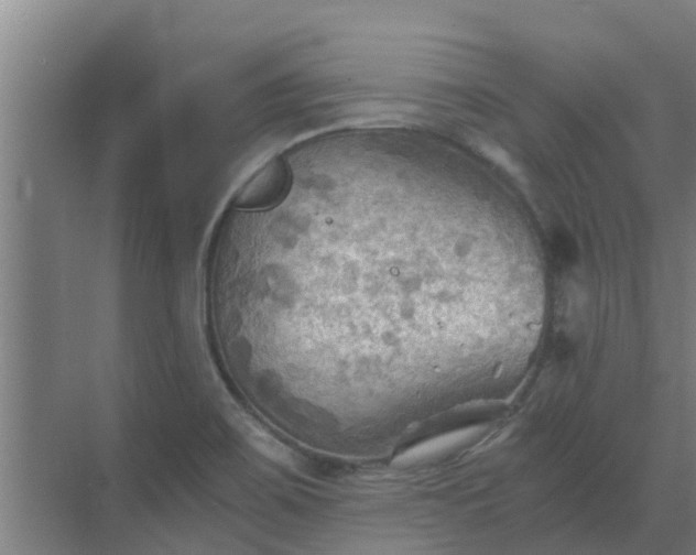 X0000069811467200605261736