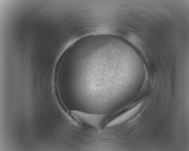 X0000069811469200605261736