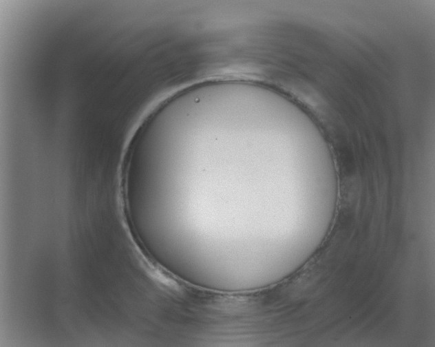 X0000069811470200605261736