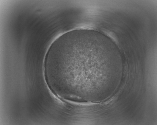 X0000069811471200605261736