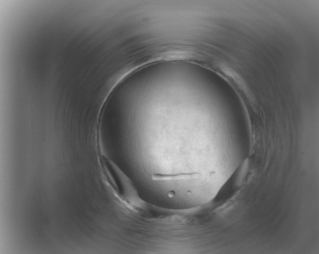 X0000069811473200605261736