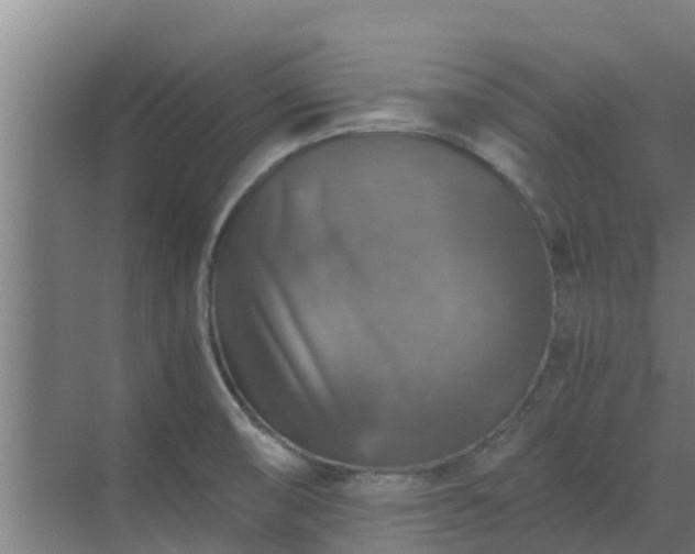 X0000069811474200605261736