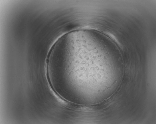 X0000069811476200605261736