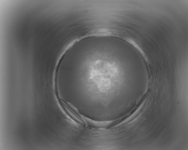 X0000069811477200605261736