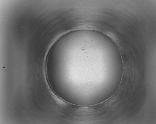 X0000069811478200605261736