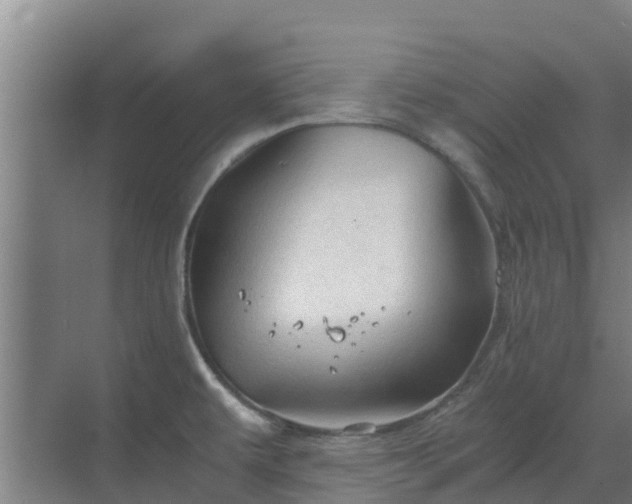 X0000069811479200605261736