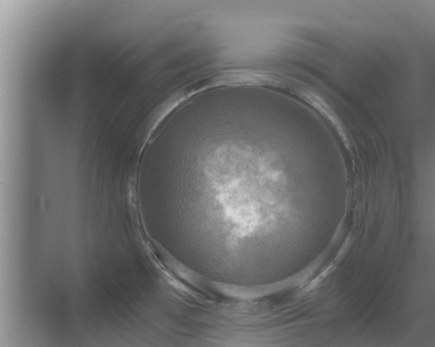 X0000069811481200605261736