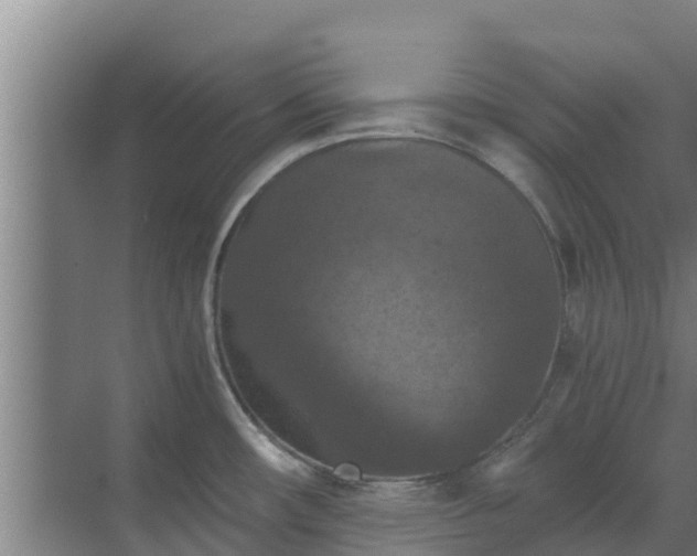 X0000069811482200605261736