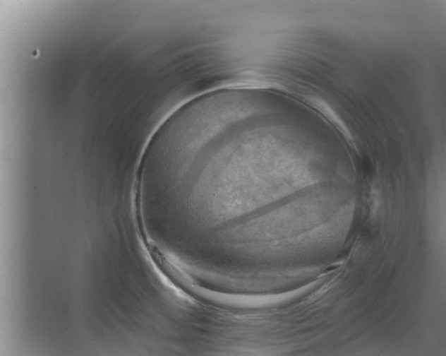 X0000069811484200605261736