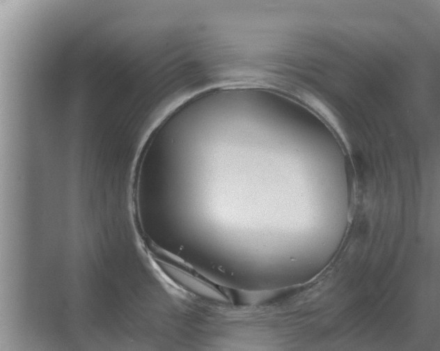 X0000069811485200605261735