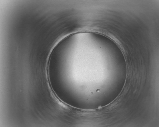 X0000069811486200605261735