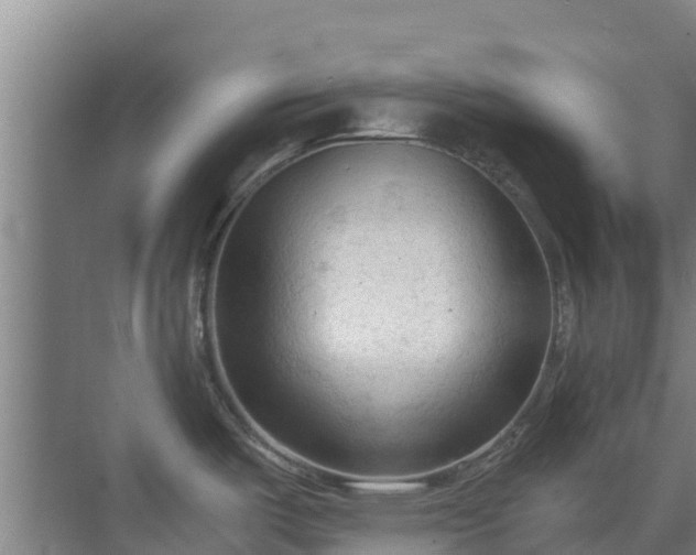 X0000069811487200605261735