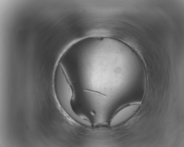 X0000069811488200605261735