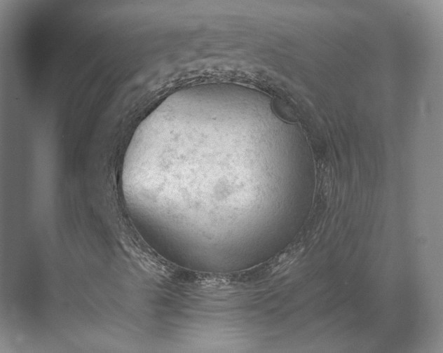 X0000069811489200605261735